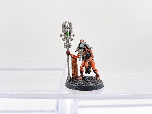 Kamoteph The Crooked Necrons Warhammer 40K Games Workshop Unit #494